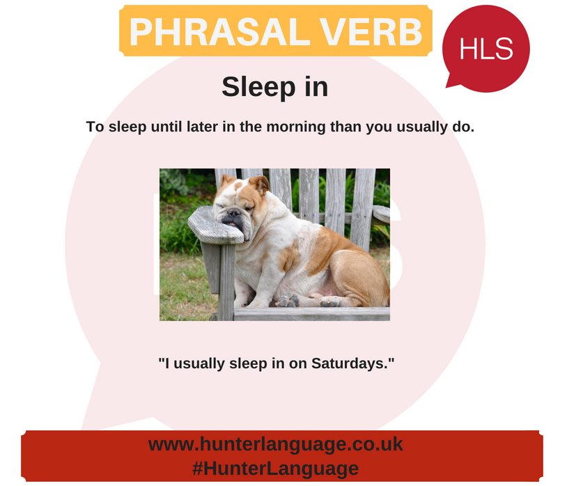 hunter_language's tweet photo. @hunter_language Phrasal Verb of the Week: Sleep In
#phrasalverboftheweek #learnenglish #english #phrasalverbs #bristol #speakenglish #HunterLanguage #HLS #WeAreHLS https://t.co/HrgOUAqU6D