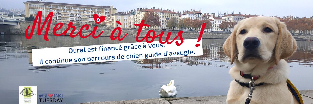 ECGALCE's tweet photo. Merci pour votre soutien durant ces 4 dernières semaines ! 

Grâce à vous Oural sera remis dans les prochains mois GRATUITEMENT à une personne non-voyante ou malvoyante.

Une mobilisation collective et réussie grâce à vous.

Un grand merci à tous pour votre générosité ! https://t.co/L3bQ445cuw