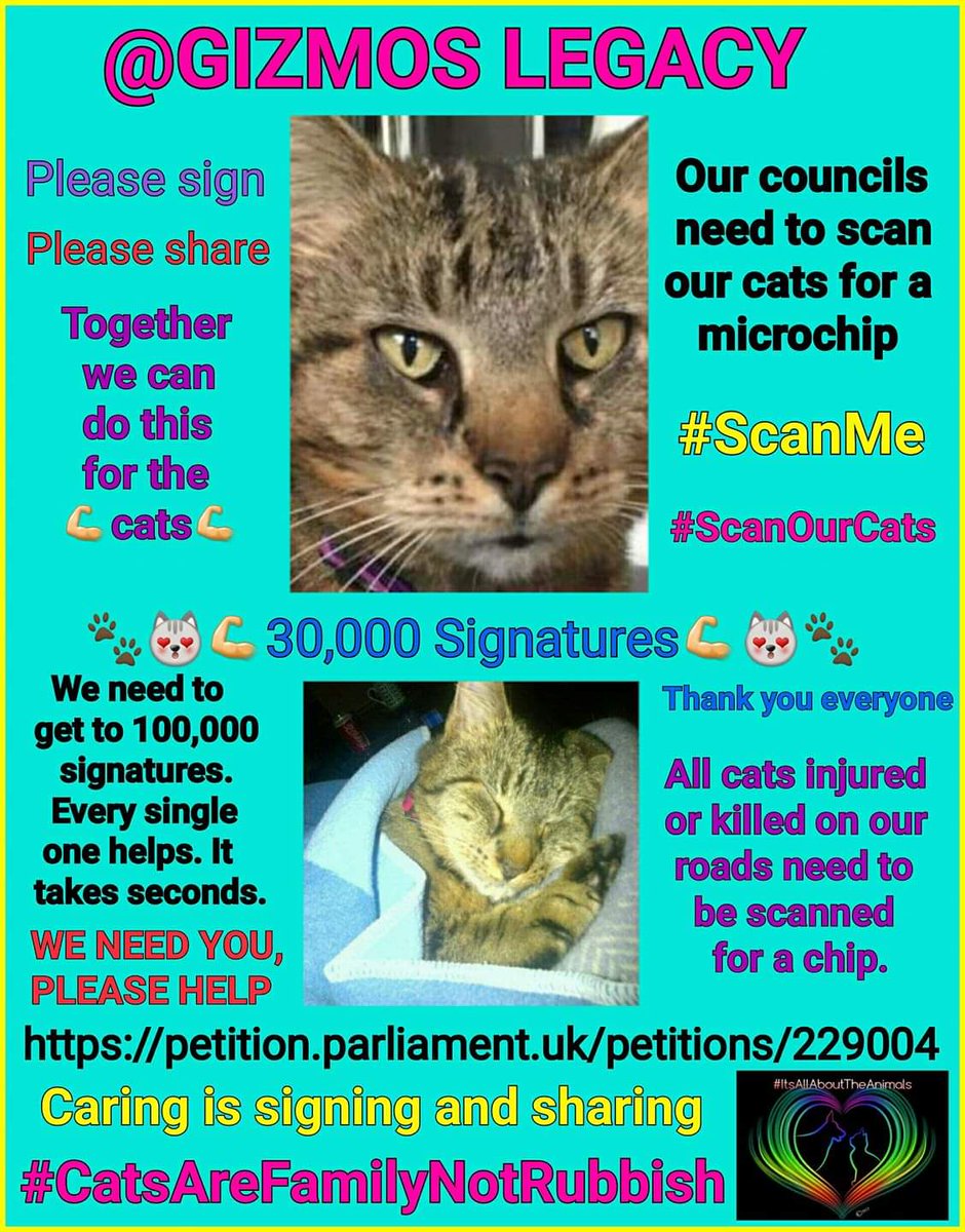 SheridanAlcock's tweet photo. @BrendaBlethyn Myself &amp; other volunteers are on call 24/7 picking up deceased cats and taking them home. Our local councils don't scan they throw into landfill 😢 @gizmos_legacy we're trying to make it Law they #scanourcats pls can you help? 🐱🐾 https://t.co/XQx1VETAwl https://t.co/QnzMb766Vy