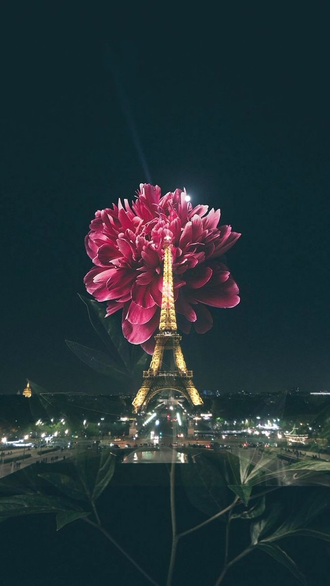 sklvsk's tweet photo. All my dreams about you❤
#Paris #Dream #Vcamera https://t.co/6d2hDcfJF7