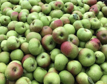 Northern Ireland -officially World’s Best Food Destination -home of Armagh Bramley Apples which have  #EU designated status and thriving cider industry #worldsbestfood #tastethegreatness #lovelocalfood