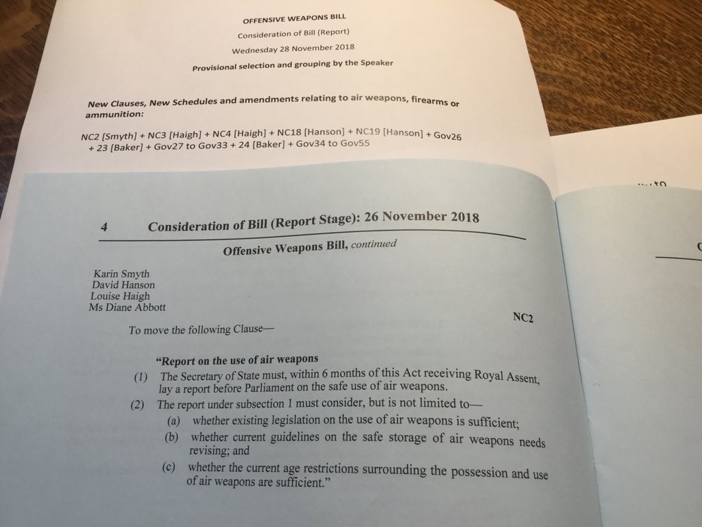karinsmyth's tweet photo. After the Government twice pulled the Offensive Weapons Bill I’m hoping it’s third time lucky today to debate my amendment on safety #airweapons #owb https://t.co/rIPLabm8Y8
