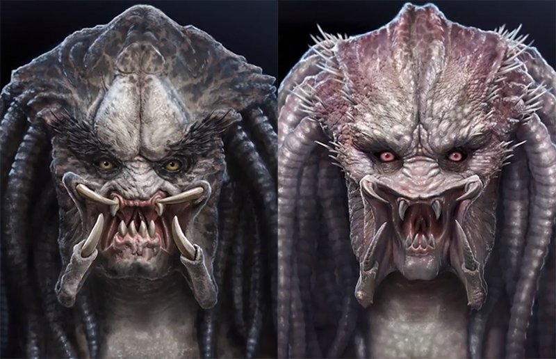 The Evolution of Predator