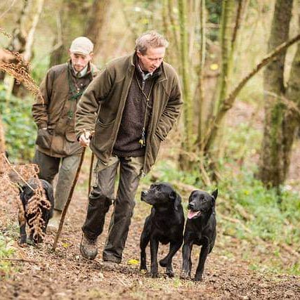 ChudleysDog's tweet photo. It's #WorkingDogWednesday!! We'd love to see photos of your dogs in the field. #Chudleys #ChooseChudleys #WorkingDogs https://t.co/LviJj1fcFT