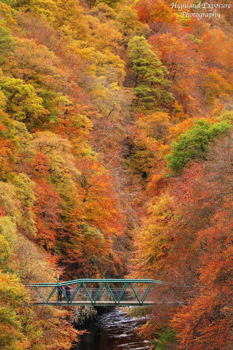 Killiecrankie is pulling off this autumnal look unbe-leaf-ably well! 🍂 🍃 📍#Perthshire 📷 FB/Highland Exposure Photography #ScotlandIsNow
