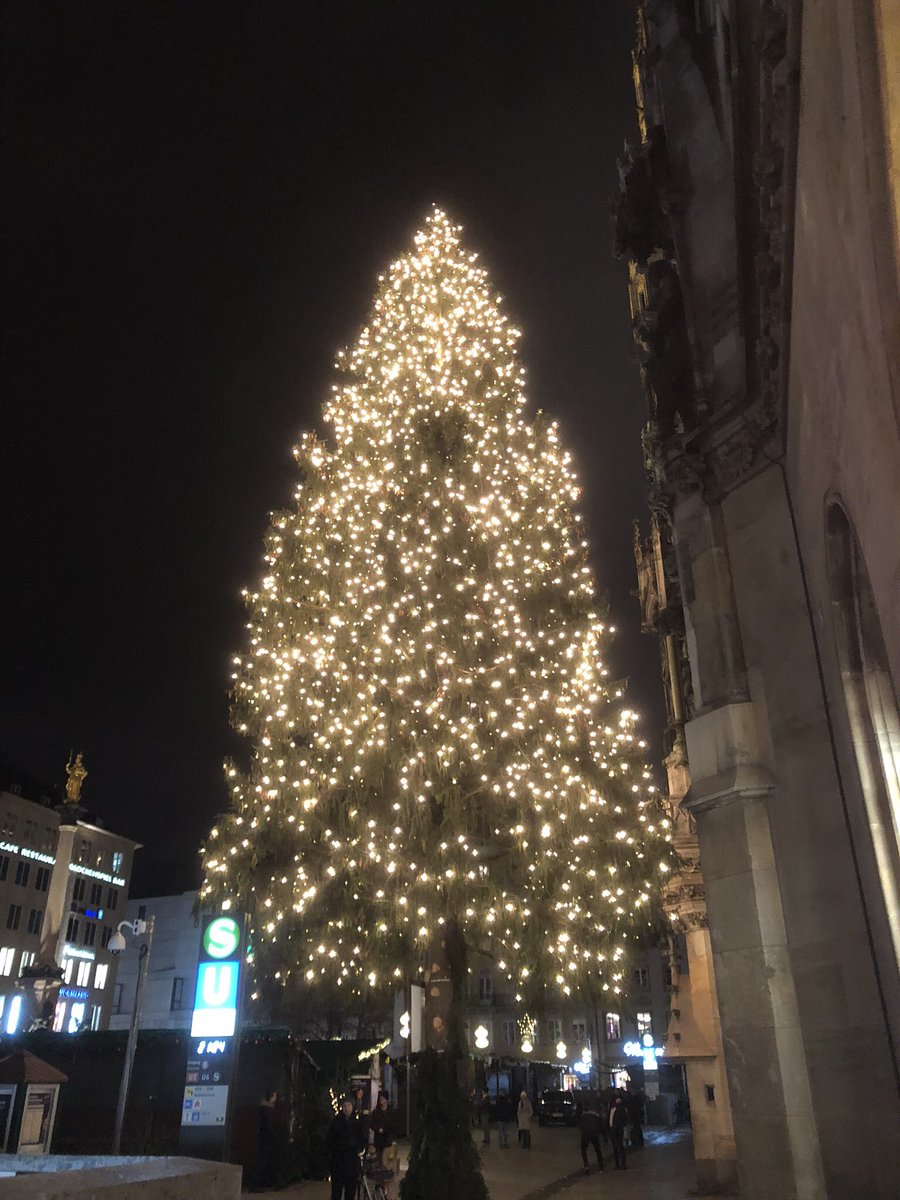 Ich werd ganz unruhig: Heuer hat noch niemand über den Christbaum am Marienplatz geschimpft. Schön! Oder sind die Grantler ausgestorben?