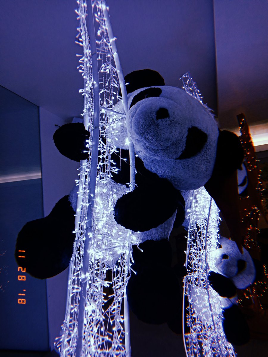 aline_gome03's tweet photo. Bisita ko ung baby #panda ko😍♥💕 https://t.co/oP3Qqhq89f