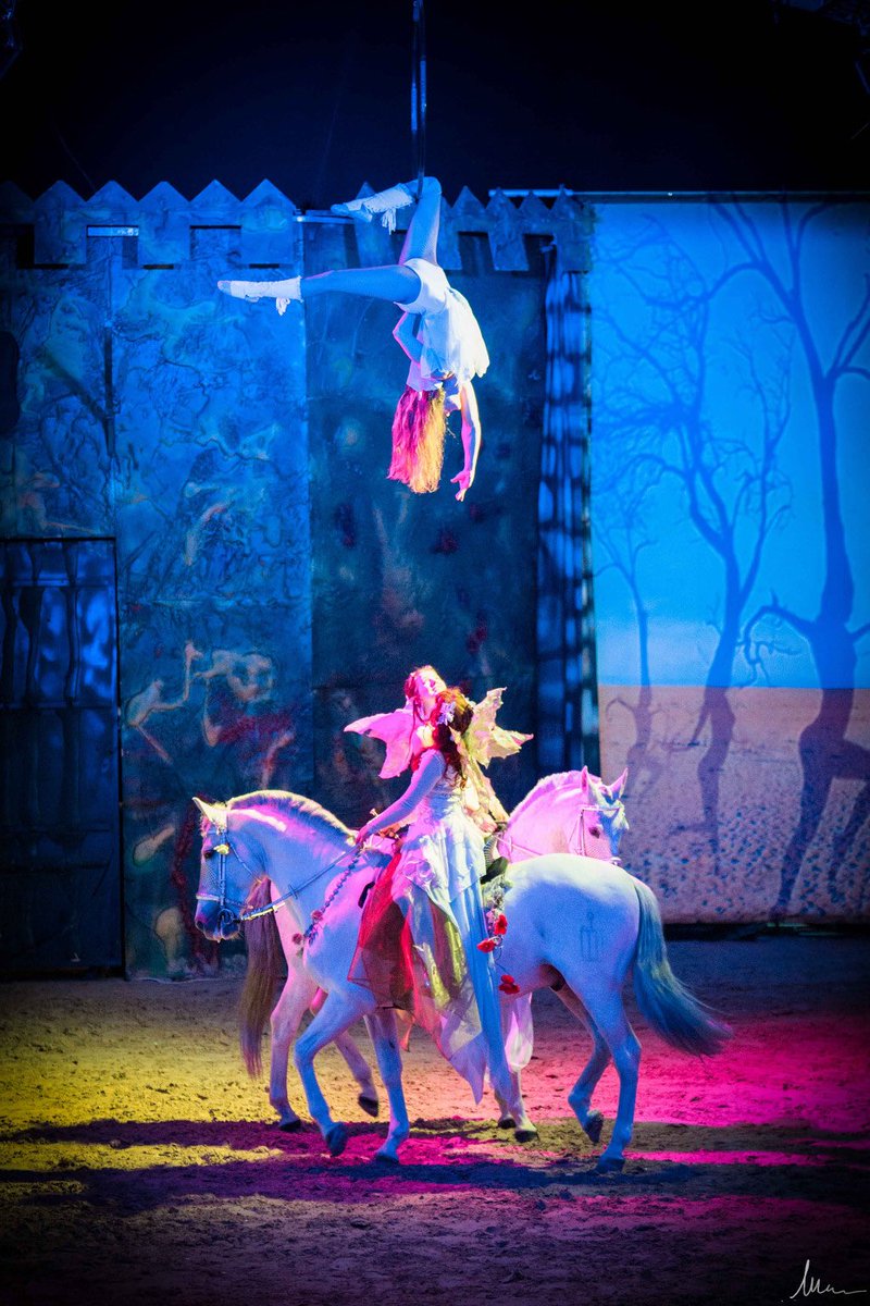 DepVendee's tweet image. #Noel au Haras de la Vendée #présentation par François Bon vice-pdt @DepVendee #culture « 19000 visiteurs en 2017» avec notamment le grand spectacle équestre L’Odyssée Fantastique du Cavalier de l’Anse Rouge. Vous pouvez dès maintenant réserver vos places evenements.vendee.fr