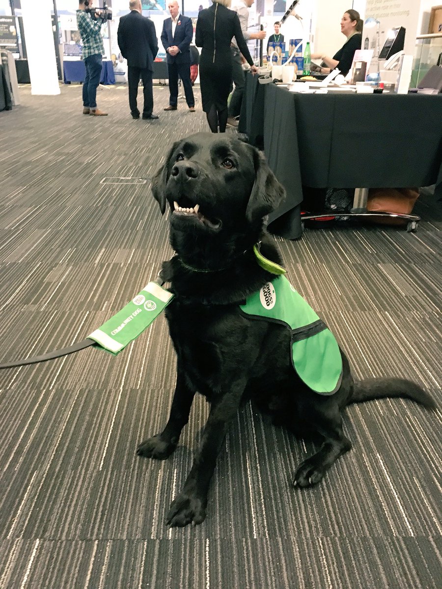 SHSC (@shscscot) on Twitter photo Off to a flying start for our Digital Health and Social Care Conference at <a href="/UniStrathclyde/">University of Strathclyde</a>! My personal highlight so far was Billy the Dementia dog 😍 #DigiCare4Scot Off to a flying start for our Digital Health and Social Care Conference at <a href="/UniStrathclyde/">University of Strathclyde</a>! My personal highlight so far was Billy the Dementia dog 😍 #DigiCare4Scot