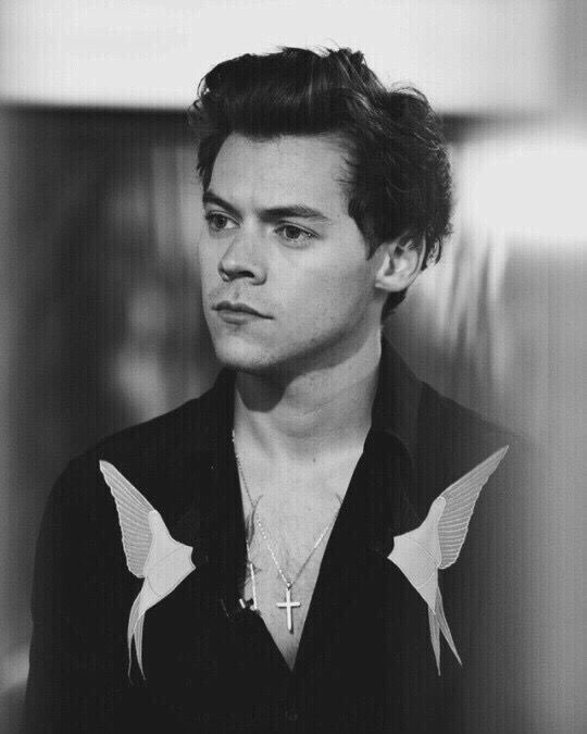 hstylespics's tweet photo. https://t.co/PVfIc2f3YY