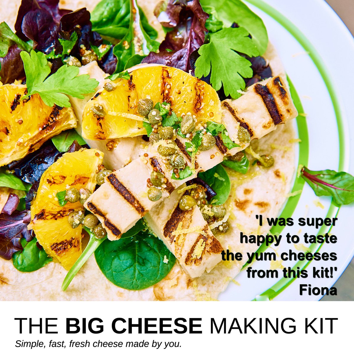 The Big Vegan Cheese Making Kit (VeganCheeseKit) Twitter
