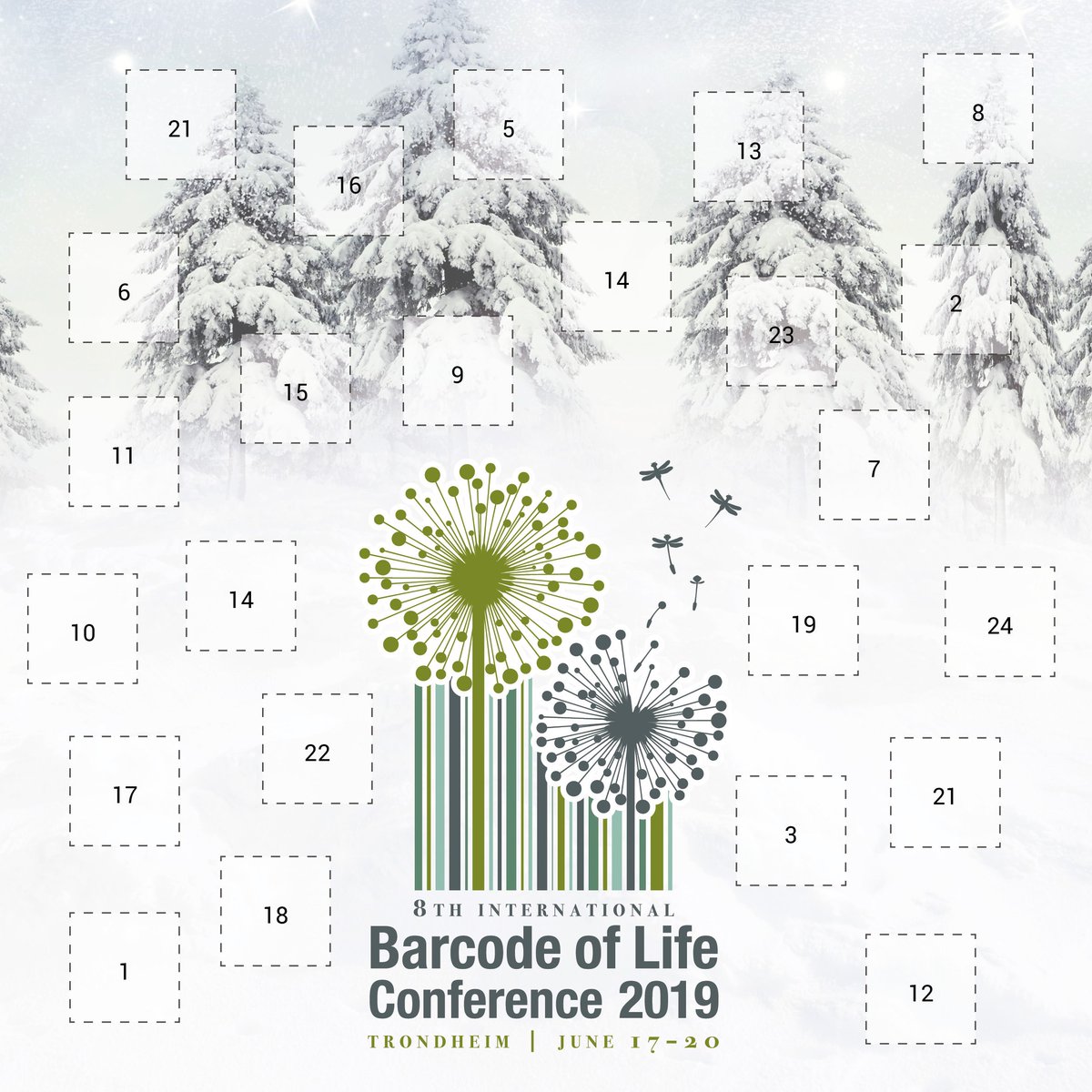 Only three more days until we open door #1 in our #iBOL2019 #AdventCalendar . Follow @norwbol to receive news and facts from the iBOL Conference. @iBOLproject @DNAdiversity @DNABarcodes @UNBiodiversity