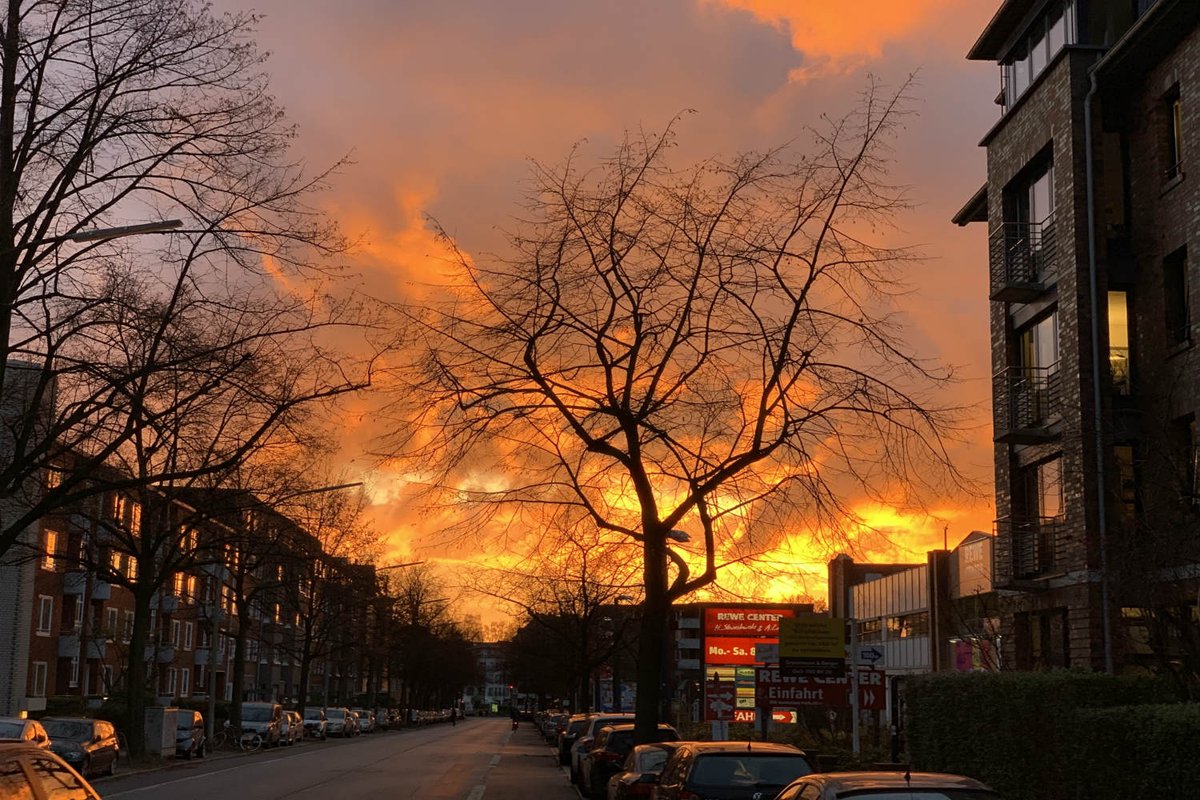 TheLocalGermany's tweet photo. Hamburg man makes emergency call after mistaking sunset for fire https://t.co/U3pxoSdTDW https://t.co/FqytMpImbc