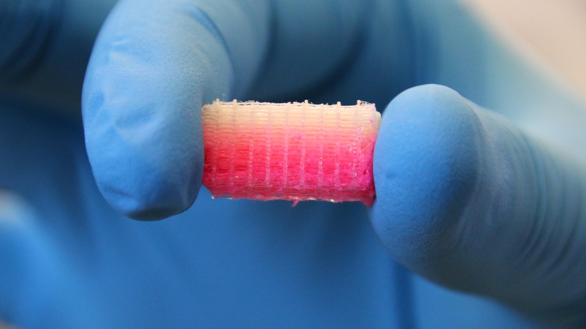 The New Jersey Center for Biomaterials at Rutgers University is making bio history. “State-of-the-art 3D printing technology from EnvisionTEC is a key part of that effort” said Dr. Joachim Kohn, director of the NJCBM.  #bioprinters 
 bit.ly/2AwAStb #F18MRS #research #MRS