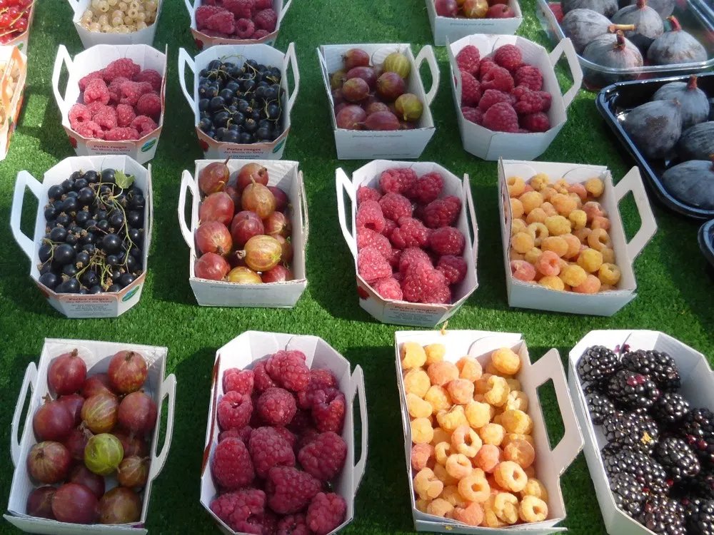 La importancia de nuestras opiniones como ciudadanos es la fuerza motora del cambio. Contamos contigo, comparte tu opinión en comidacritica.org <a href="/BigpicnicE/">BigPicnic España</a>