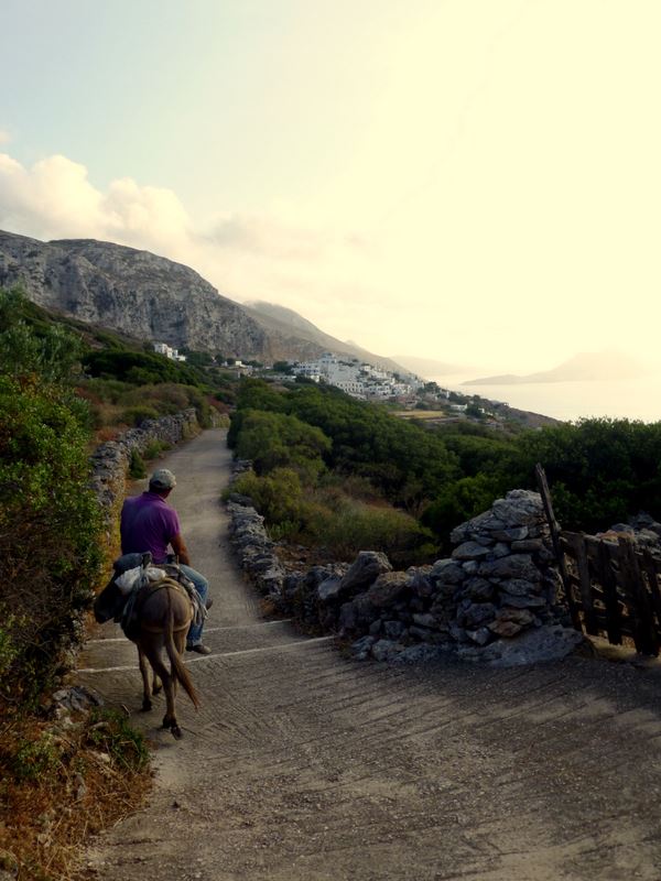 DanceHaus's tweet photo. AMORGOS 2019: YOGA_TAI CHI &amp; MOVEMENT RETREAT “Soul’n Body Journey”:
sull’isola di Amorgos in Grecia dal 25 Aprile al 2 Maggio 2019 presso l’Aegialis Hotel&amp;SPA.

TARIFFA AGEVOLATA per chi si iscrive ENTRO IL 20 DICEMBRE 2018!
Info e iscrizioni: direzione@dancehaus.it; 0236515997 https://t.co/qirf9ra6IK