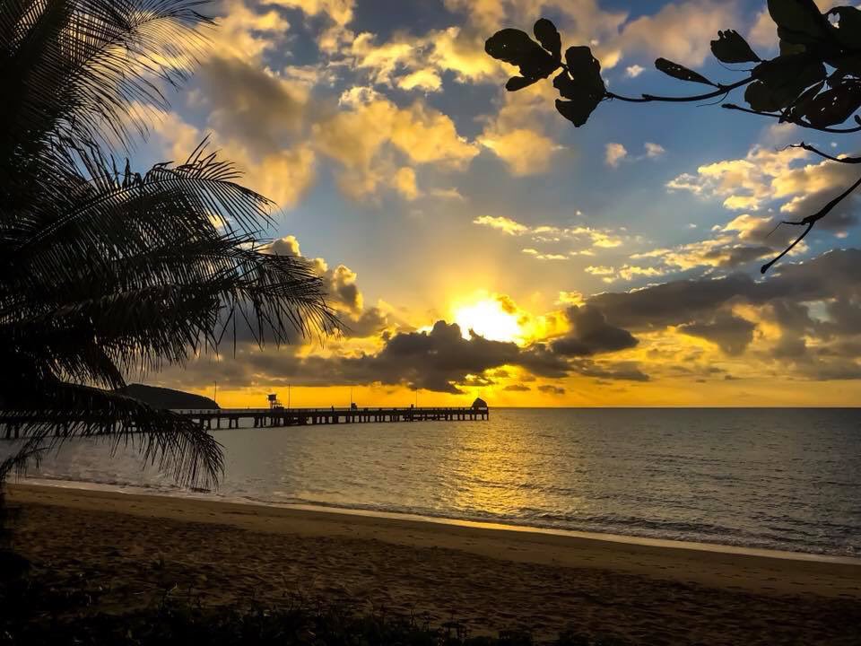 ozitodd's tweet photo. Palm Cove https://t.co/23nR9VibuN