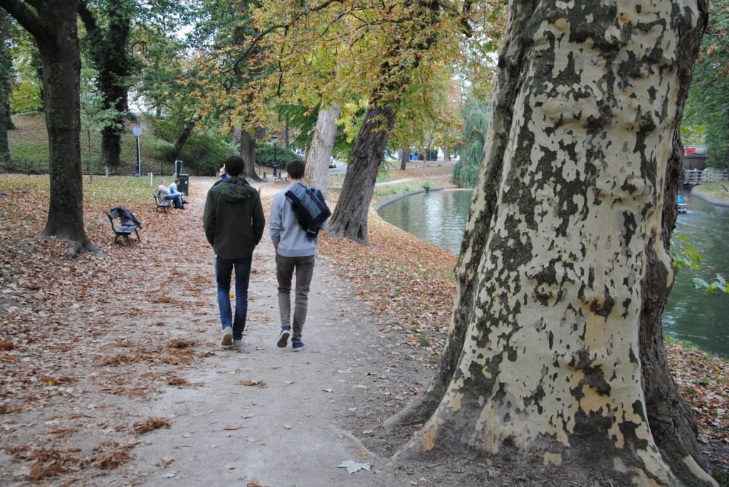 GroenKapitaalNH's tweet photo. [INITIATIEF] - Vitaal in het Groen – Wandelingen aanbieden in het groen zorgt ervoor dat werknemers de deur uit gaan om te bewegen en tot rust komen door focus op het aanwezige groen. Op ons blog vind je hun vernieuwde website vol tips en programma’s https://t.co/wUpHu3avuS https://t.co/VwtA5SpKnG