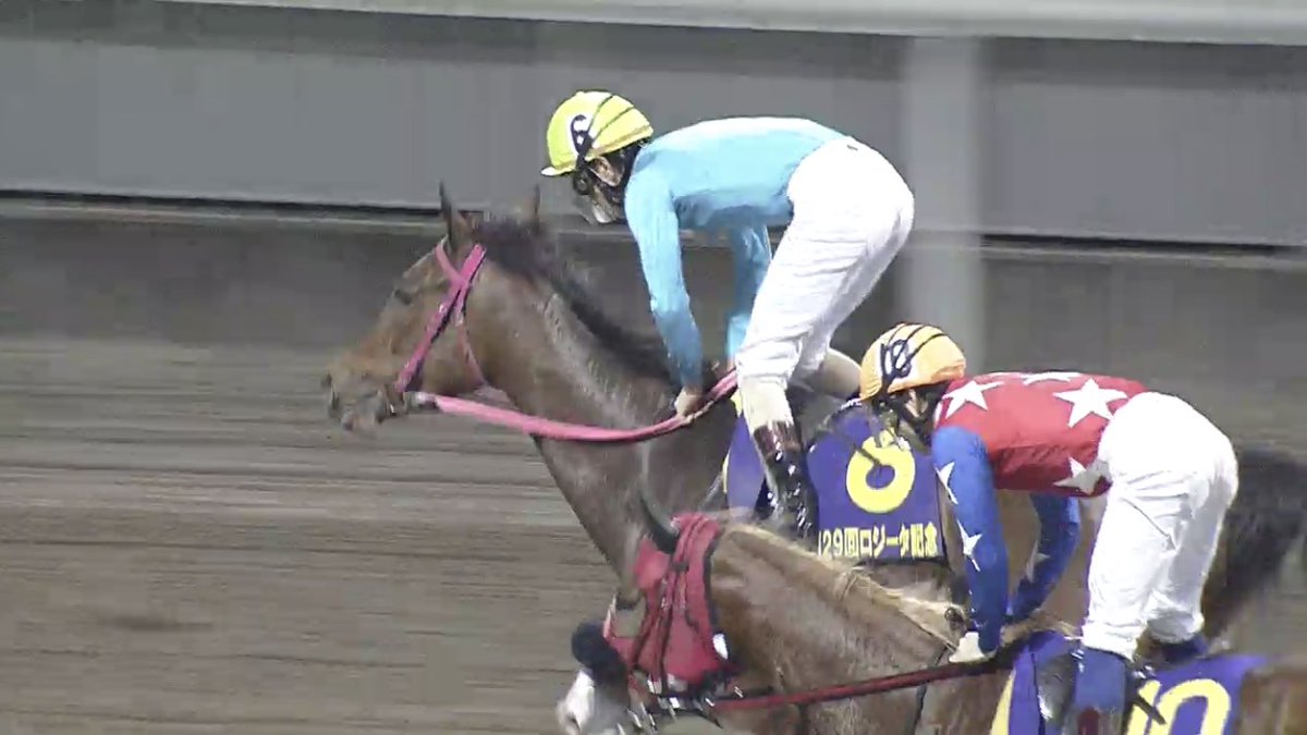 Juntaka Auf Twitter 川崎最終レースも矢野貴之ジョッキーの