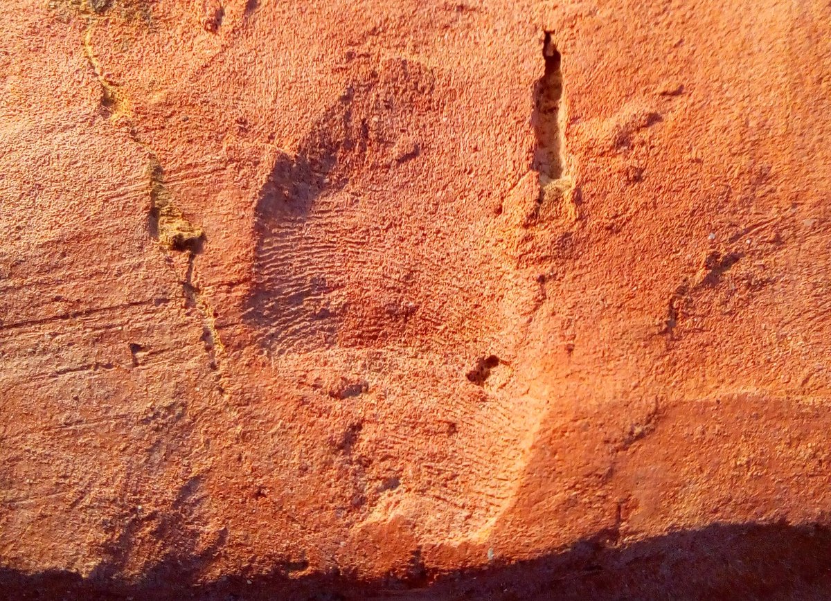 silchexcavation photo