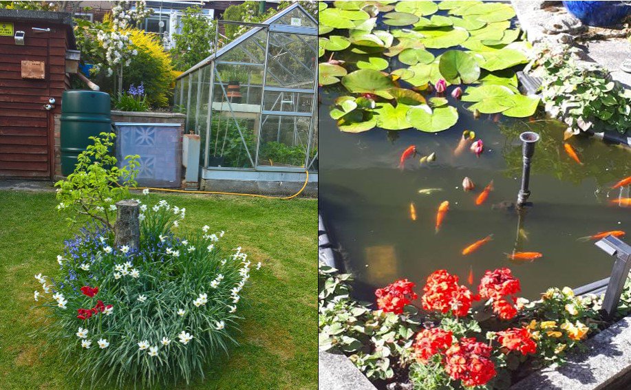 Mr Parish, a customer from Peterlee, is passionate about saving water. He uses water his water butt to keep greenhouse plants hydrated, and the rainwater running off his summerhouse roof goes straight into the pond. How do you save water in your home and garden? #everydropcounts