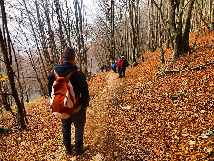 ErcoleWild's tweet image. Troverai più nei boschi che nei libri. Gli alberi e le rocce ti insegneranno cose che nessun maestro ti dirà.

#montagneselvagge #ercolewild