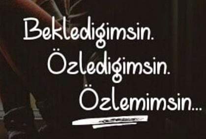 Gerçekten Özleyenler 
Özlediklerini dile dökmeye
Mecali bile Kalmayacak kadar Özleyenlerdir
İnsan gerçekten Özlerse

Özledim diyemez ama 
Ona bakan 
Onun gözlerinde 
Özlediğini Seyreder