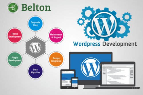 solution_sembee's tweet image. Our Areas of Expertise:-
• Logo Designing.
• Graphics Designing.
• Website Design &amp;amp; development.
• Customize Software development.
• Domain Registration and Hosting.
• SEO.
• Hardware &amp;amp; Networking solution.
visit us: smbgroup.info