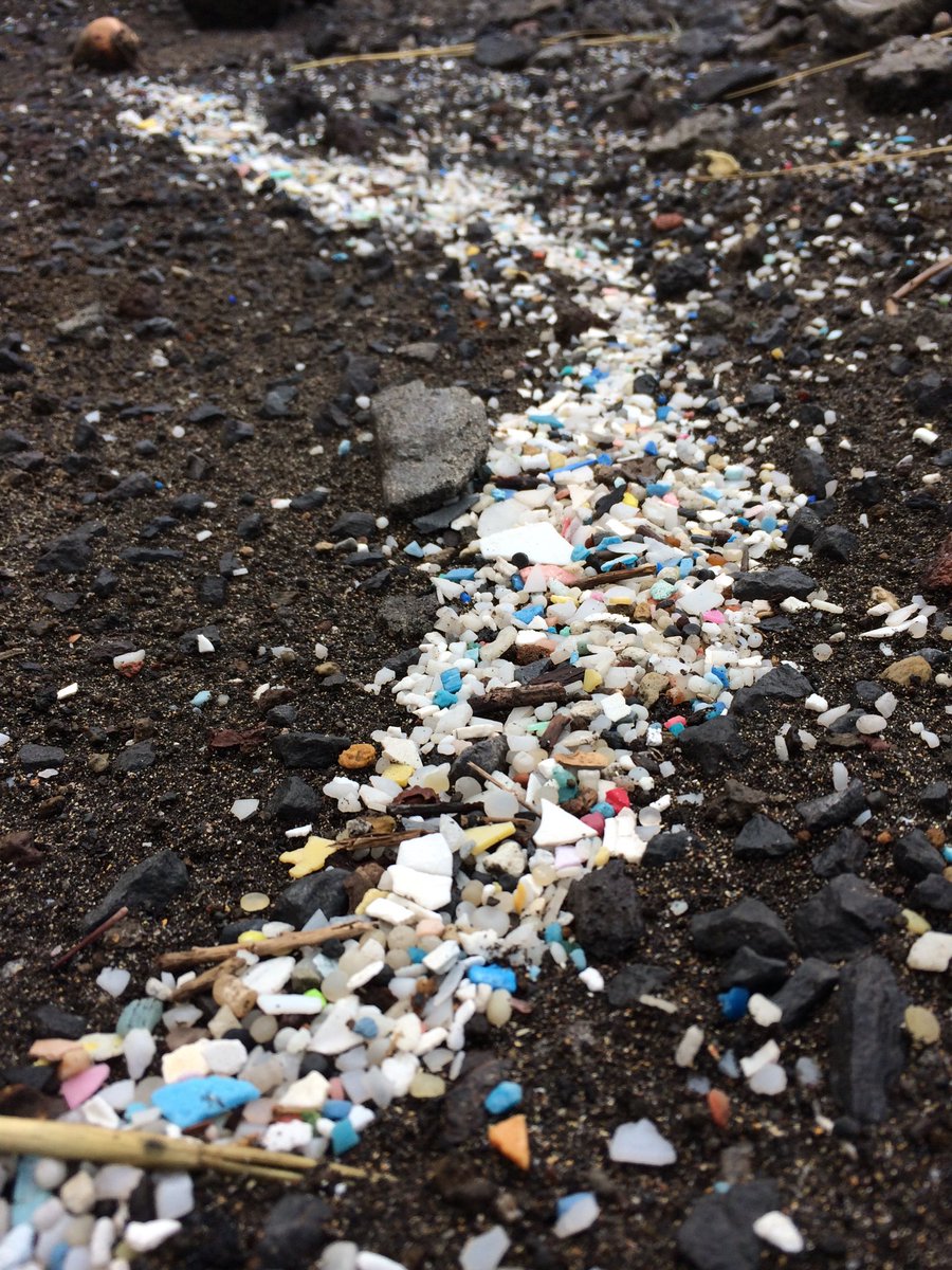 #portopim #beach in the #Azores this morning after #StormDiana passed these last days around the islands. #microplastics #marinelitter #phd #research #plasticpollution #storm #ocean #plasticfreecoastlines #planetorplastic #OCEteam