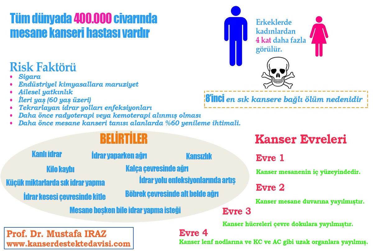 Mesane kanseri nedir? Belirtileri nelerdir? Kimlerde görülür? Tedavisi nasıl olmalıdır? Daha fazla bilgi için sitemizi ziyaret edebilir. bizleri arayabilirsiniz.
kanserdestektedavisi.com/mesane-kanseri/