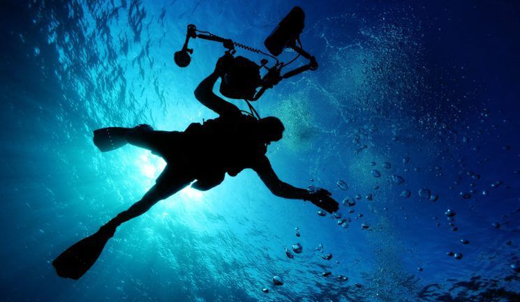 Seven Things You Must Know Before You Start Filming Underwater
buff.ly/2FLvY1f
#Underwater #UnderwaterPhoto #UWphoto #UW #UnderwaterPhotography #UWphotography #underwaterphotographer
