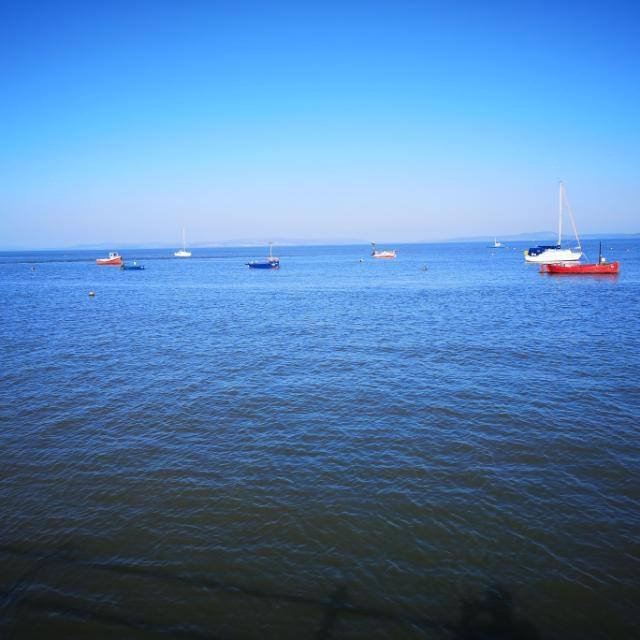 GF Sales & Lettings tweet media