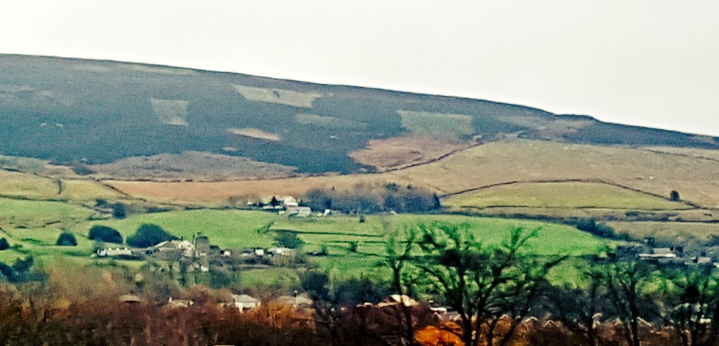 blackgull's tweet photo. Look forward to hosting disruptive conversations on range of enviro, farm, wildlife, landscape, food, land use issues tomorrow with #ecologists @ReadingBioSci #MScWildMan via @hatbirder's kind invite https://t.co/lOnQin5uiX