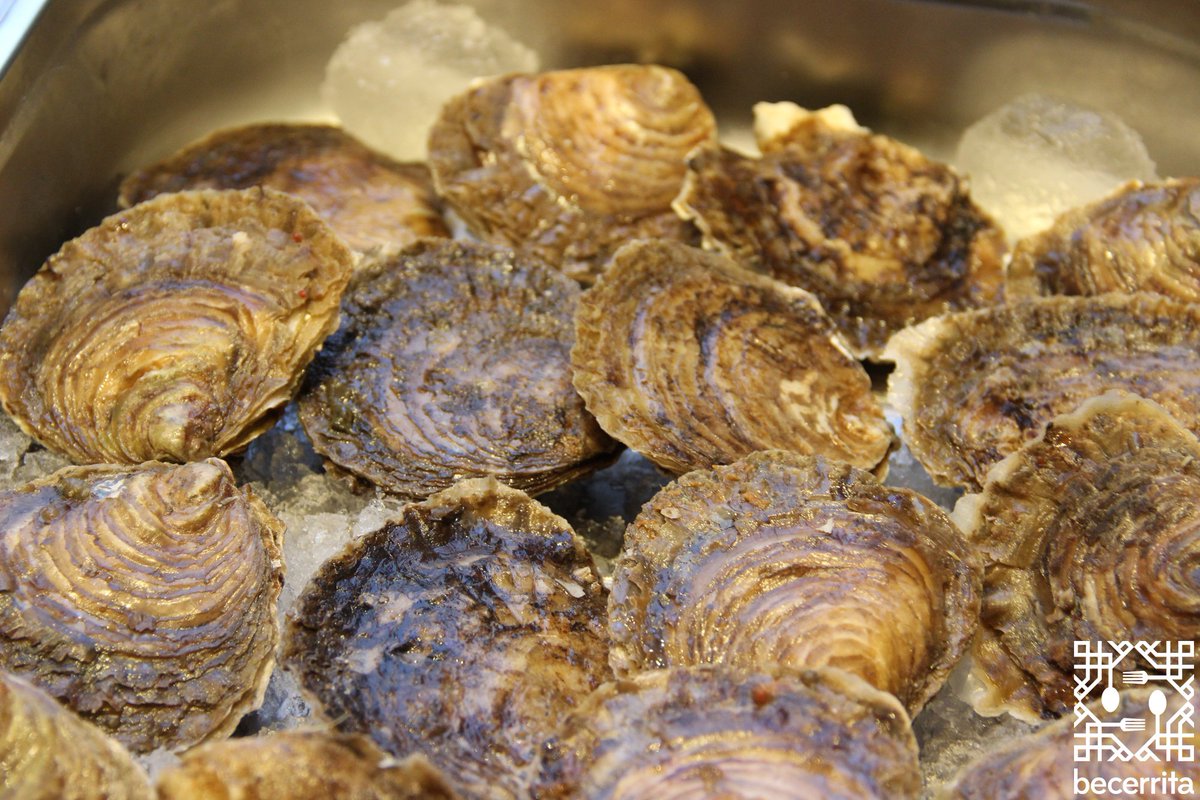 Rbecerrita's tweet photo. Ostra plana gallega, clásico sabor puro de la ría gallega. Un año más Restaurante Becerrita os ofrece las mejores #ostras. 🤗
#Becerrita #RestauranteBecerrita #Sevilla #restaurante #SiemprePorAgradar #OstraWeek https://t.co/KKO76hWZBi
