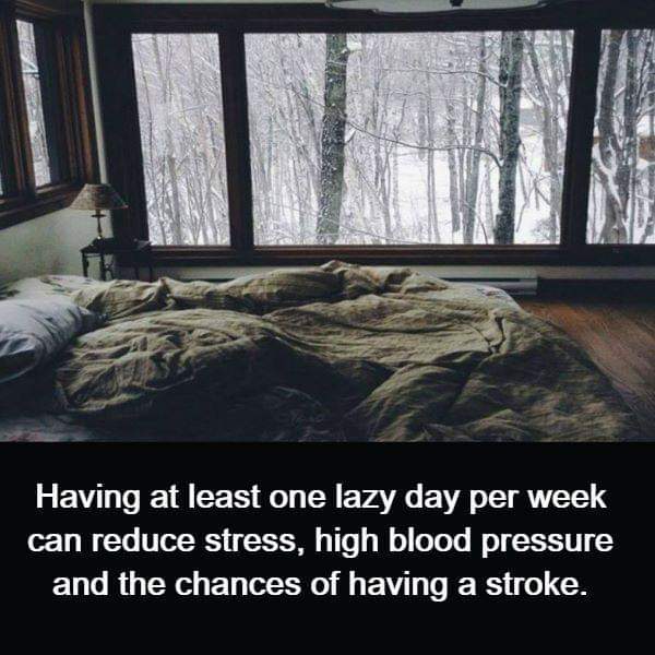 BlubaughKate's tweet photo. What is this "lazy day"????
Anyone get one per week?  
#kidsarentlazy #mommaneedsrest #slowdown #thehealthyhousewife https://t.co/LkTSvQ1opG