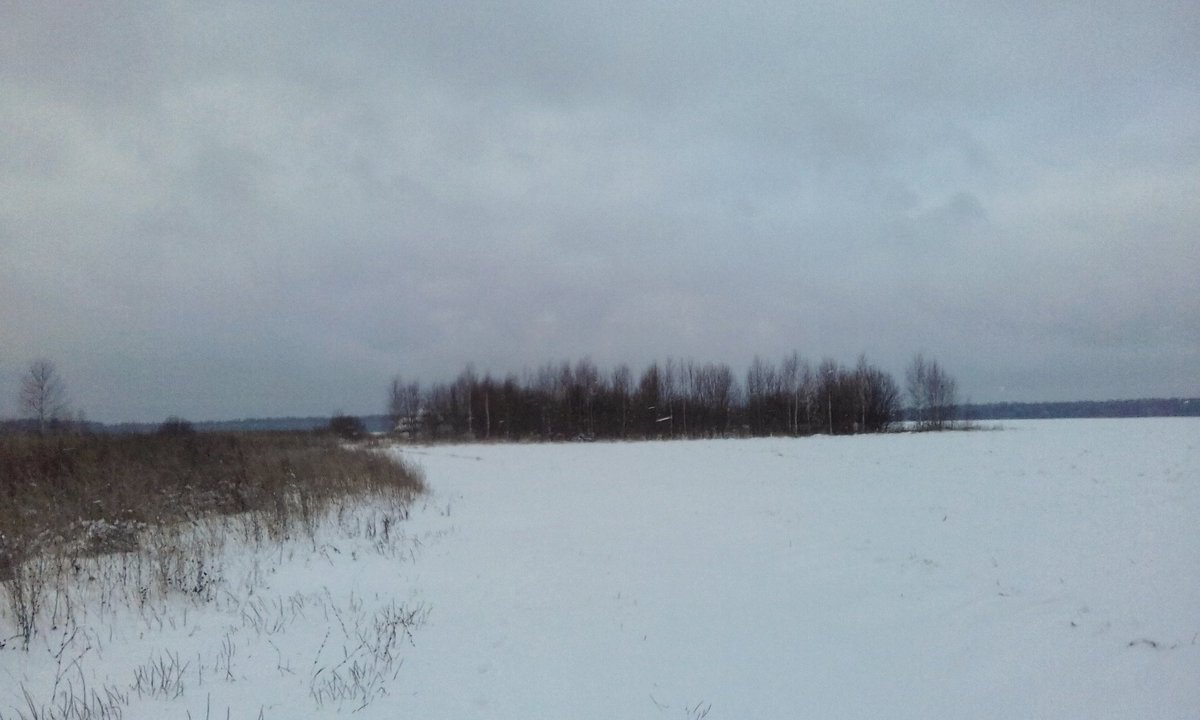 katya_chk's tweet photo. Зимушка-Зима ❄❄❄ #walk #nature #winter #snow https://t.co/WK3phbfSlb
