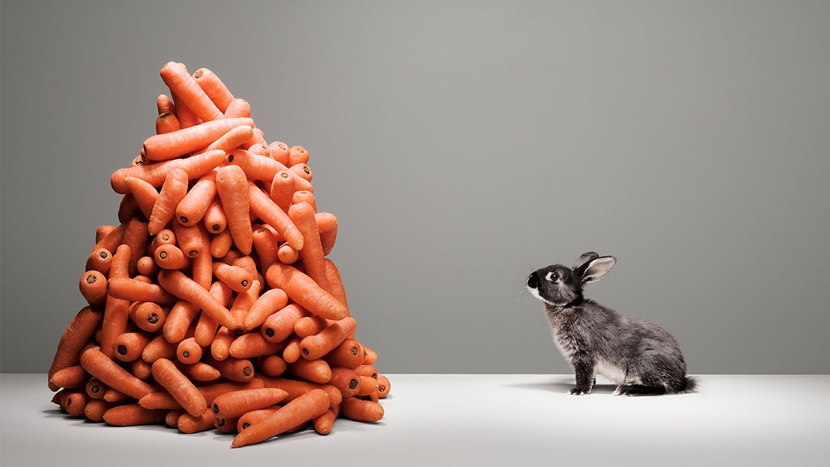 Why You Should Stop Setting Easy Goals buff.ly/2TPcpYU via <a href="/HarvardBiz/">Harvard Business Review</a>