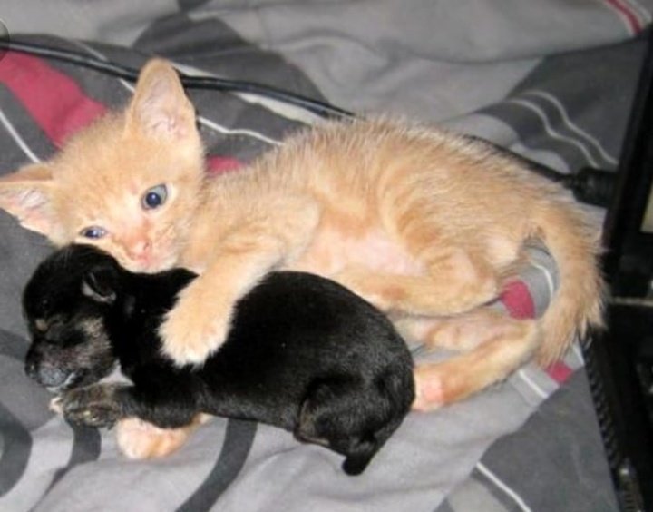 #KatliamYasasınaHayır