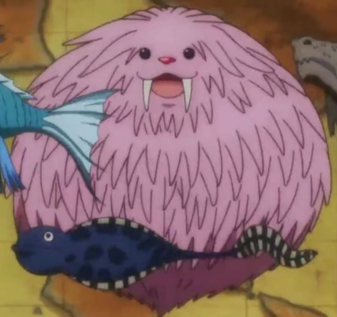 Just Your Everyday Fluff-Monster — I am studying! (Hunter x Hunter)