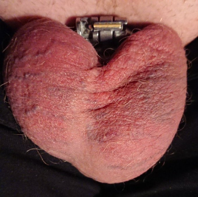 Has anyone seen my cock? I'm sure I left it around here somewhere... 😂 #chastity #sissy #denial #nonutnovember<a href="/tag/denial"class="tags"><span>#denial</span></a><a href="/tag/sissy"class="tags"><span>#sissy</span></a><a href="/tag/blueballs"class="tags"><span>#blueballs</span></a><a href="/tag/chastity"class="tags"><span>#chastity</span></a><a href="/tag/nonutnovember"class="tags"><span>#nonutnovember</span></a>