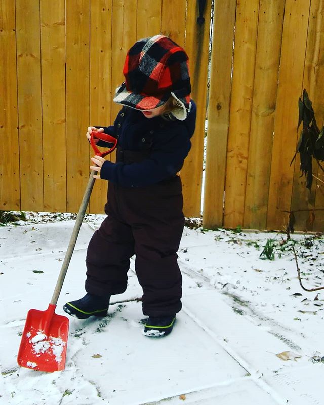 Lisa Murphy tweet media