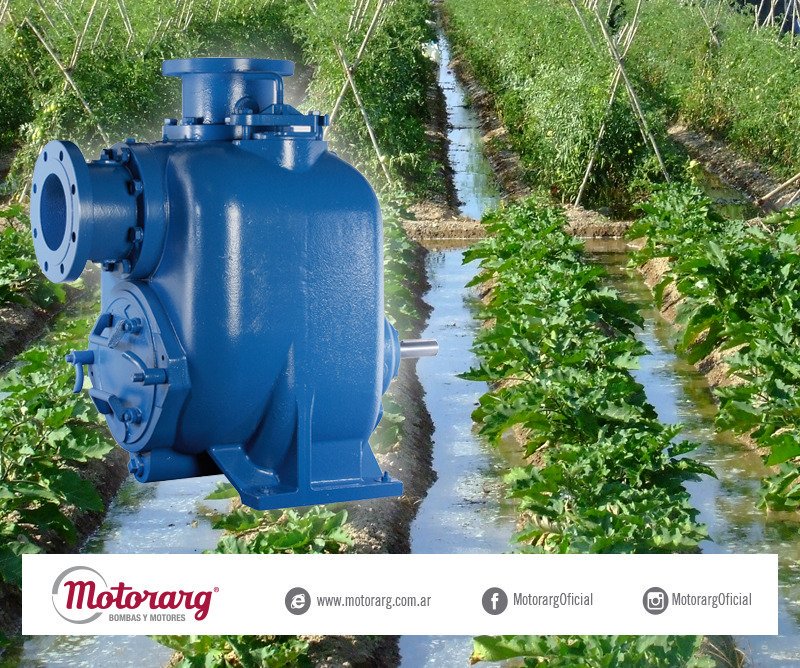 MOTORARG's tweet photo. Las bombas centrífugas autocebantes de punta de eje libre “BEL-A”.
Más info 👇🏻
https://t.co/3f8vjTp3d4
-------------------------------------------------
#Motorarg #bombas #ejelibre #centrifugas #autocenbantes #agricola #industrial #construccioncivil https://t.co/1pm88bUIe0