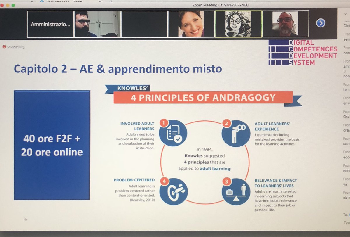 Peer review su #Digcomp e #dcds #digitalskills