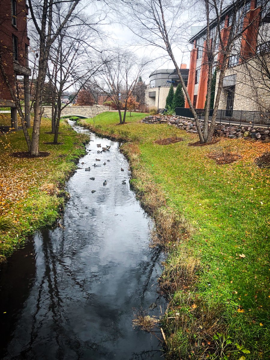 UWECStudentLife's tweet photo. Just keep swimming Blugolds! Wednesday is here! #uwec https://t.co/DyvOPTorC5
