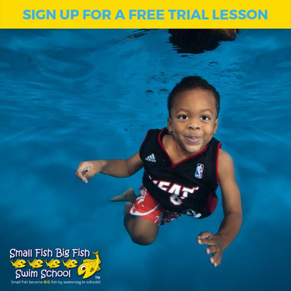 SFBFswimschool's tweet photo. Was your child born to swim? Find out with a FREE Small Fish Big Fish Swim School swimming assessment.  Sign up now for a FREE swim https://t.co/d03KpDYJd9 https://t.co/ListaAn1pJ