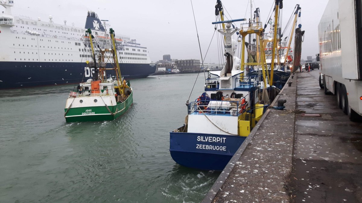 garnalenkotters's tweet photo. Garnalen lossen in IJMUIDEN
#rousant
Foto's #atefennema https://t.co/bZE2Zt6msS