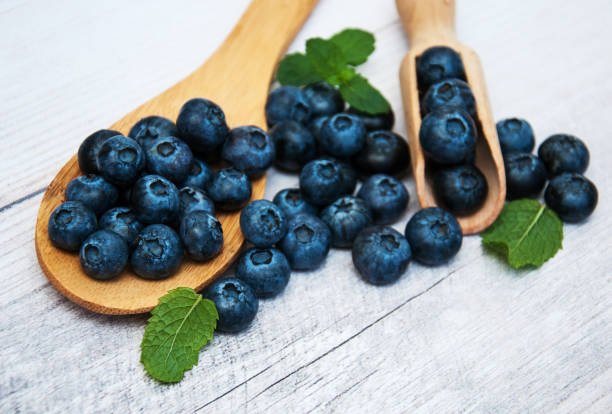 AskRealHerbs's tweet image. 7 Top Bilberry Benefits 
bit.ly/2cvtcwa 

#bilberry #cardiovascularsupport #vision #bloodcirculation #supplement #supplementsthatwork #supplementstore #realherbs #herbs