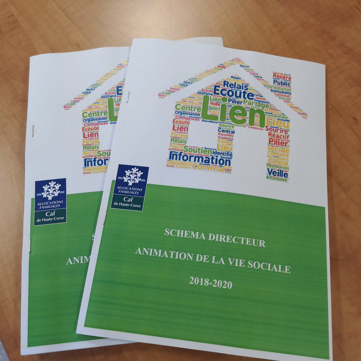 [#SDAVS] 🤝 Les partenaires réunis ce jour pour la signature du Schéma directeur de l'animation de la #vie #sociale 2018-2020 afin d'harmoniser les pratiques et la politique #familiale et sociale sur le #territoire. #CentresSociaux #EspacesVieSociale