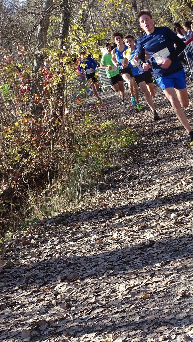 #CrossUNSS Académique 🏃‍♀️🏃‍♂️
Rdv sur facebook pour retrouver toutes les #photos de cette belle journée !
#LeDéFit #sports #santé