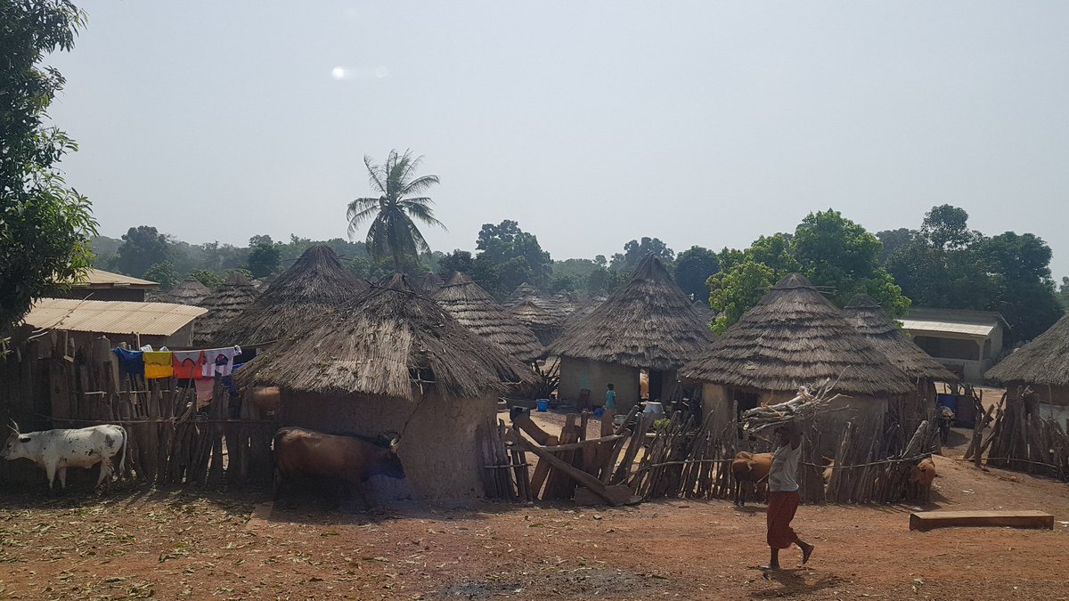 Route de  #Kouroussa  #Roadtrip  #HauteGuinée  #Day2